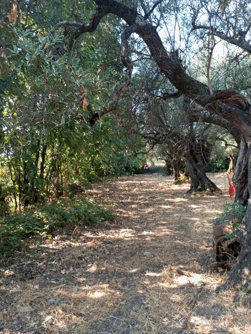 Terreni e lotti in vendita a poligono 3 parcela176, imagen 11