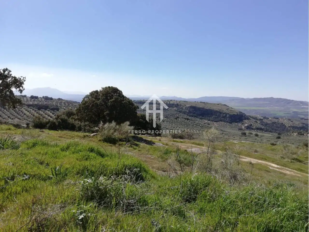 Finca rústica en venta en Zagra