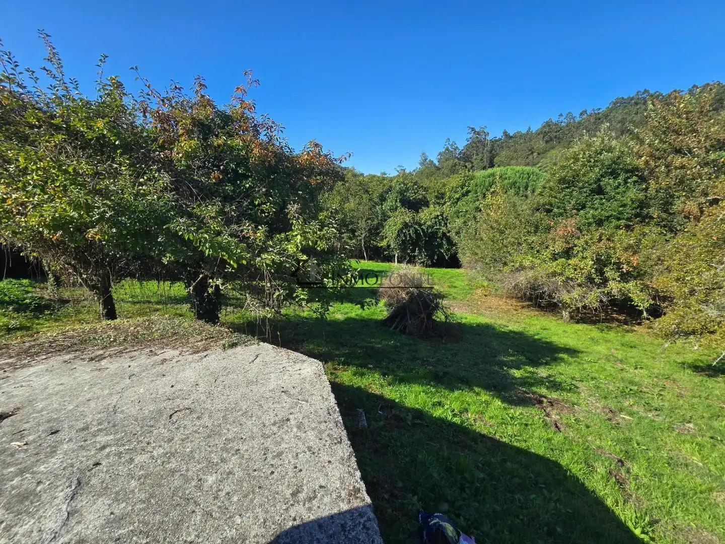 Casa o xalet en venda en Cerdedo amb Jardí privat