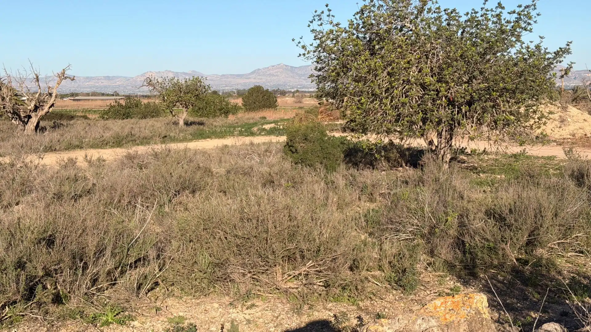 Terreno residencial en venta en La Marina, imagen 27