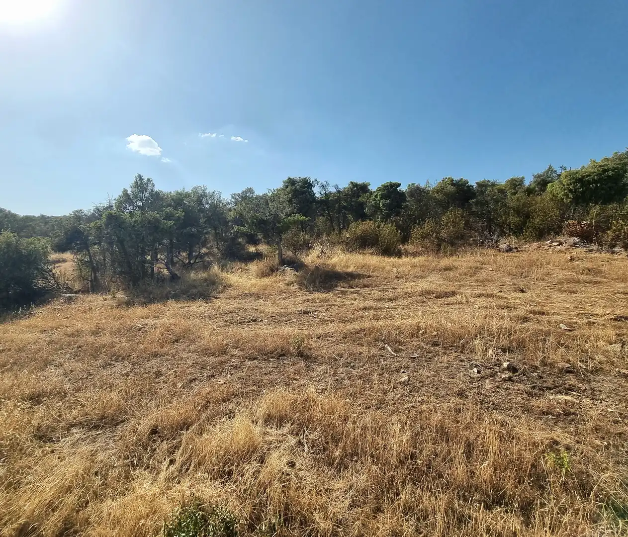 Land for sale in Colmenar Viejo