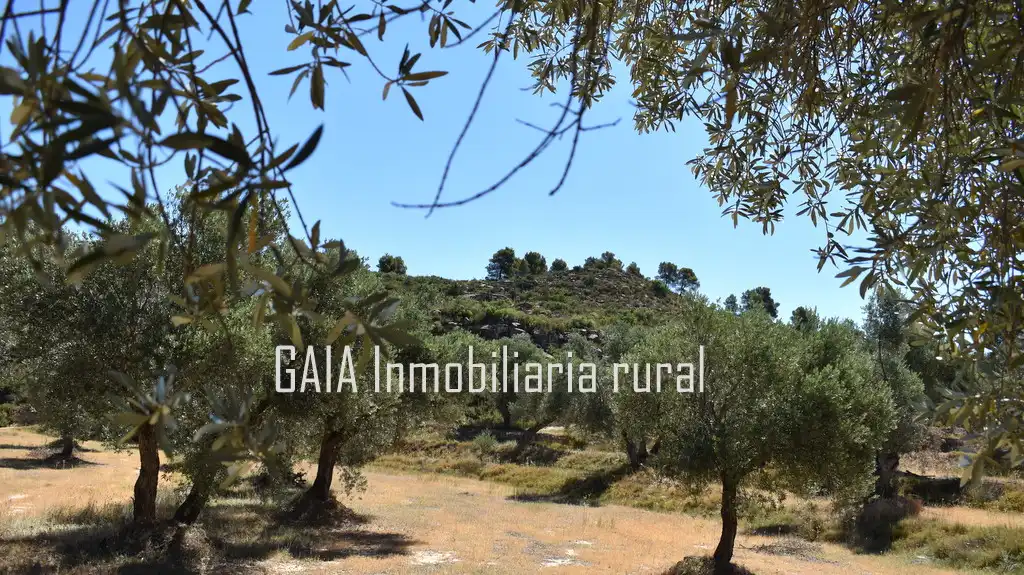 Casa rústica en venda a Maella, imagen 12