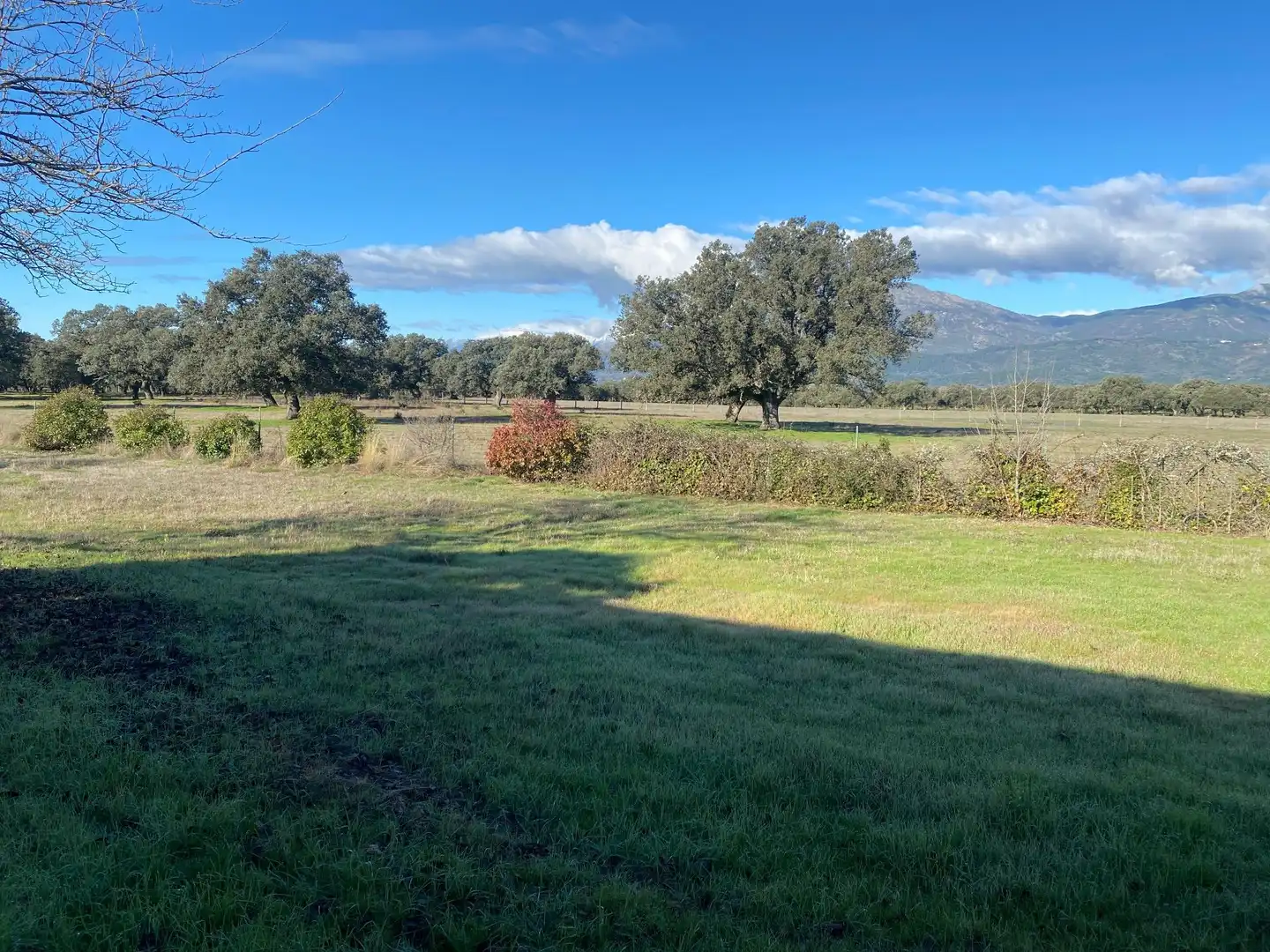 Finca rústica en venta en Buenaventura