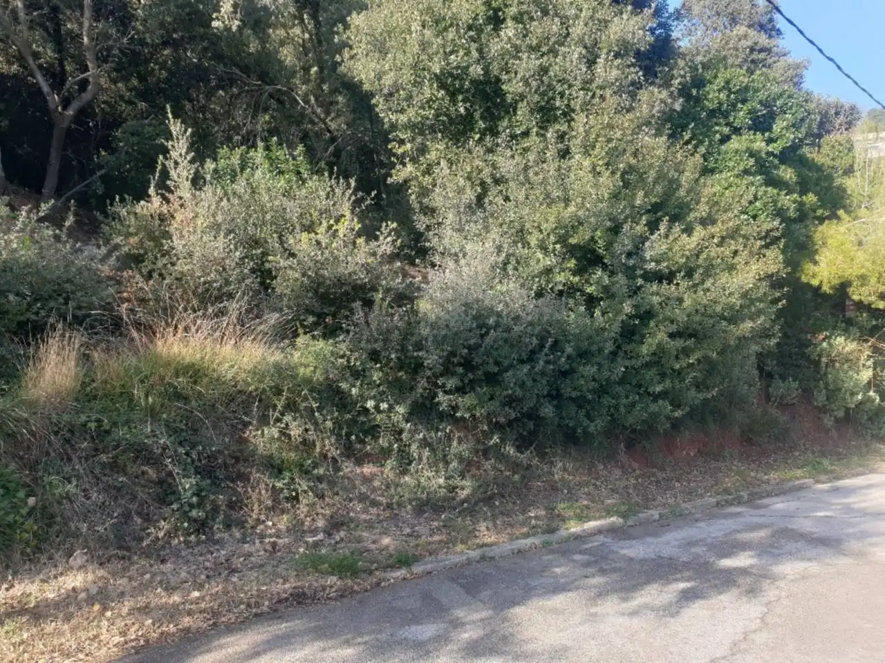 Terrain résidentiel à vendre à Matadepera