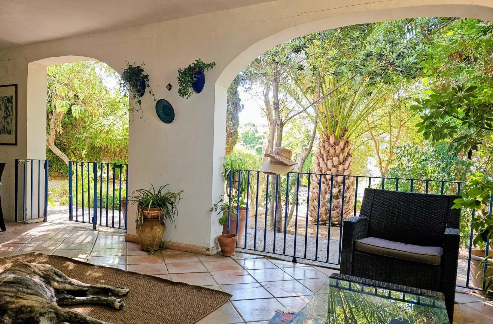 Garden of Houses for sale in Jerez de la Frontera  with Private garden