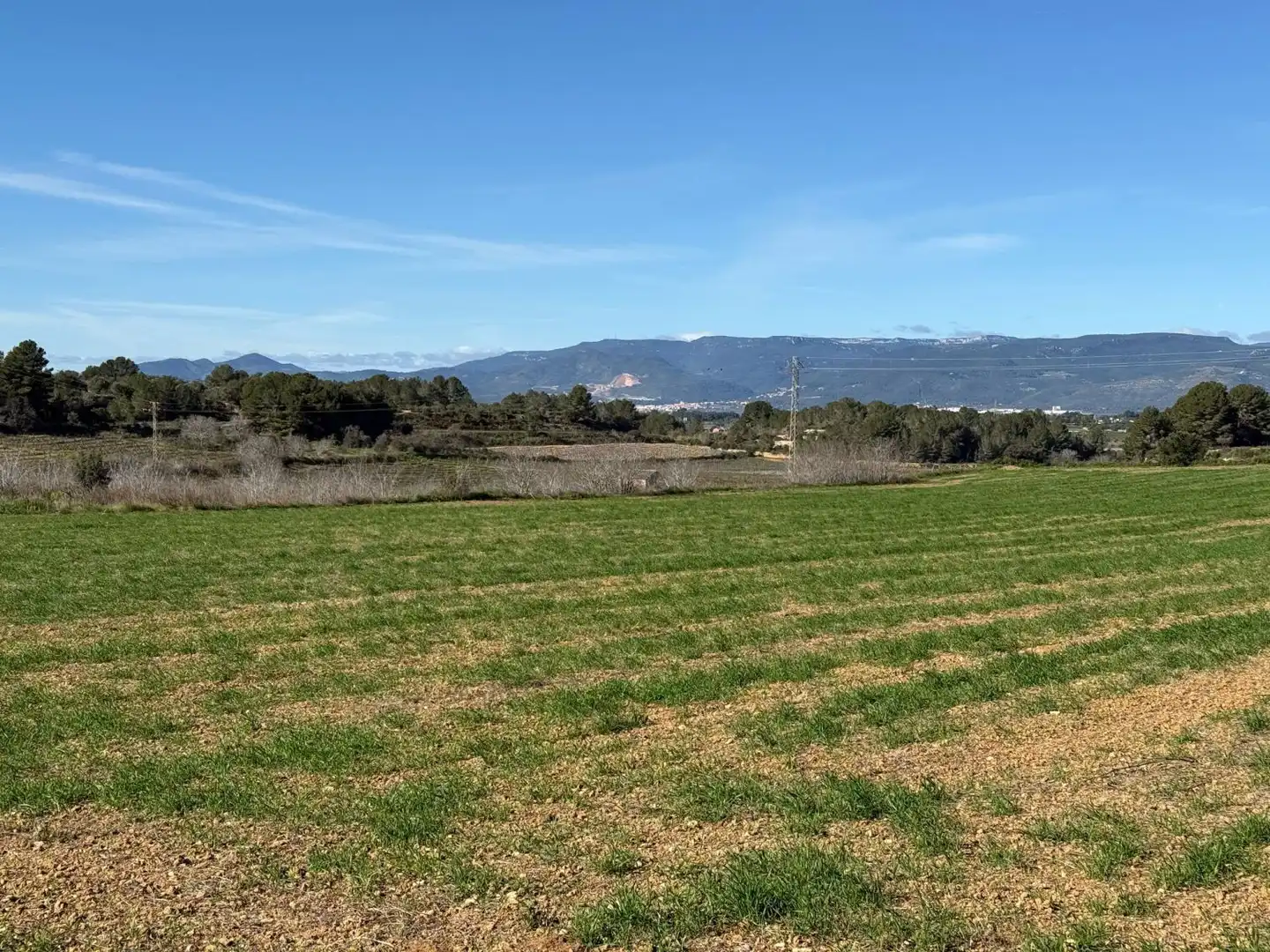 Finca rústica en venda a Puigpelat