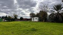 Casa o xalet en venda en Los Palacios y Villafranca amb Piscina