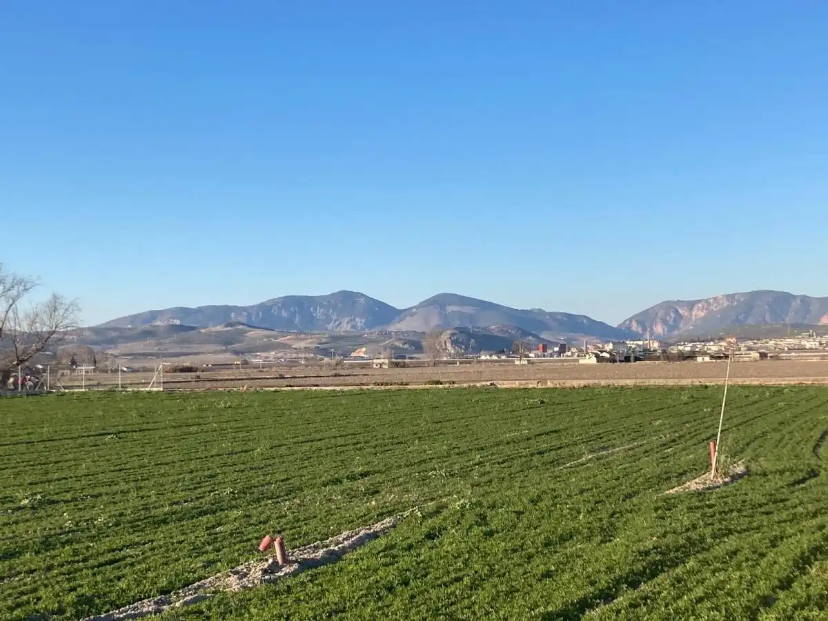 Casa rústica en venda a CARRETERA DE FUENTE VAQUEROS A ATARFE, imagen 2
