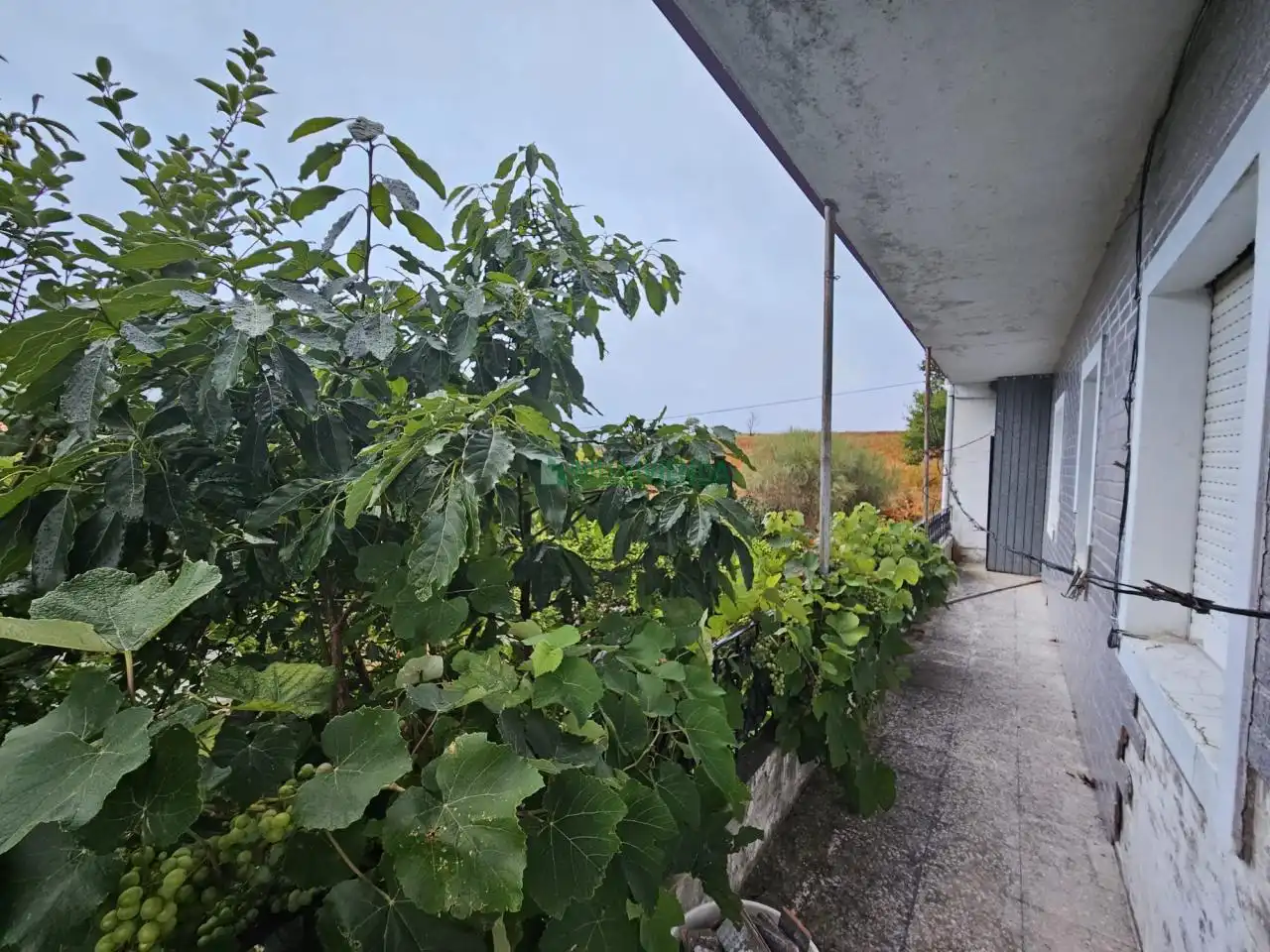 Jardí de Casa o xalet en venda en Covelo amb Calefacció, Jardí privat i Terrassa
