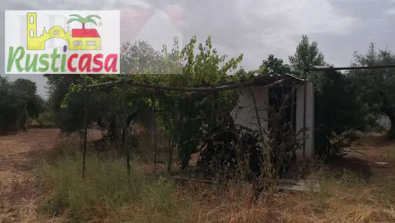 Casa o chalet en venta en Bailén con Jardín privado, Trastero y Piscina