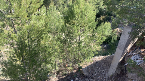 Foto 4 de Residencial en venda a Carrer del Tord, 3, Port d'Andratx, Illes Balears