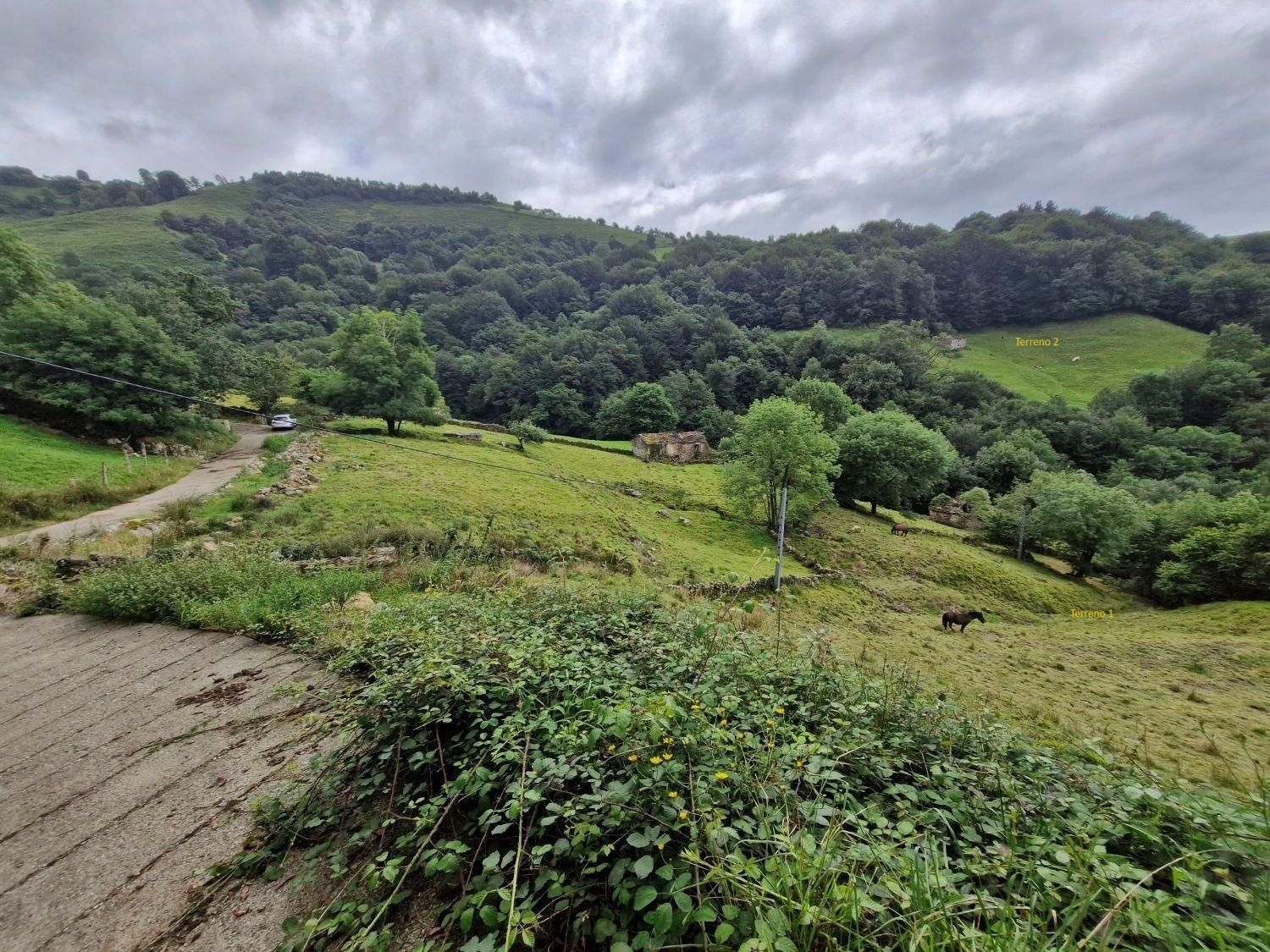 Residential for sale in Barrio BUSTANTEGUA-DIS, 93, Selaya