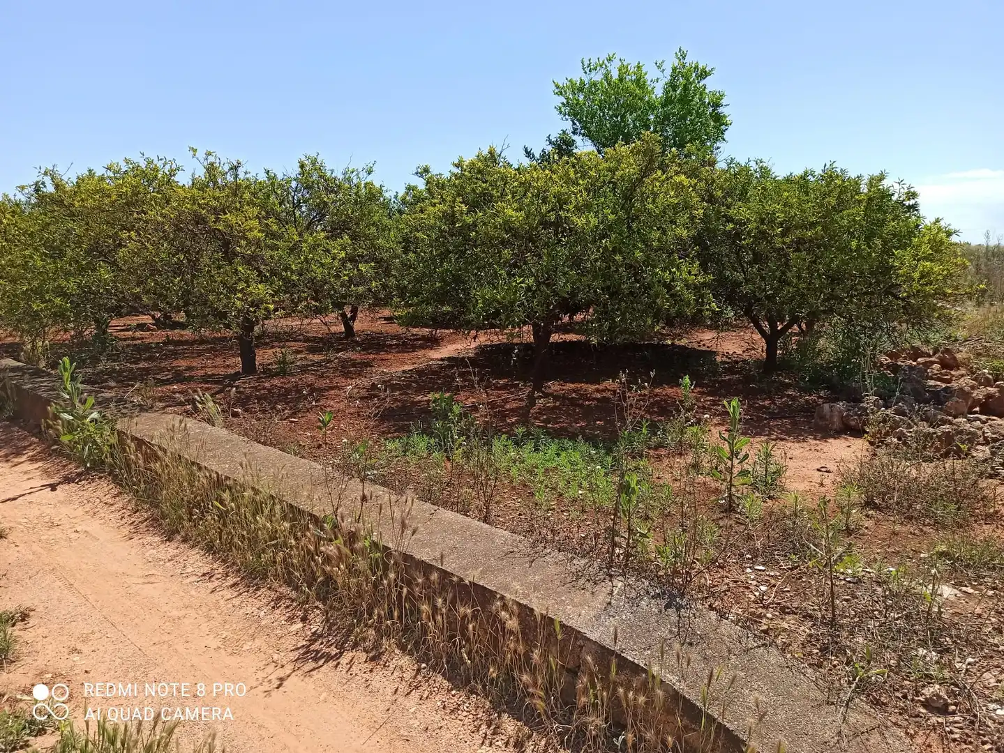 Grundstücke und Bauplätze zum Verkauf in VELL VILA-REAL ONDA, imagen 3