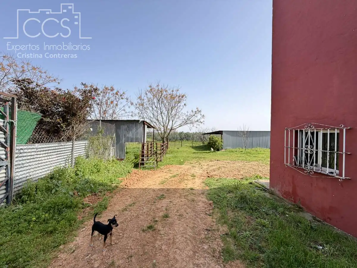 Country homes for sale in Pilas  with Swimming Pool