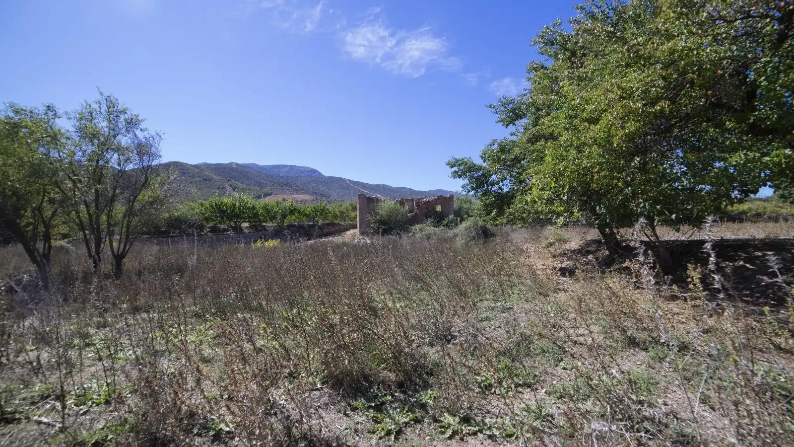 Terreny rústic en venda a PAGO ACEQUIA BAJA Polígono 11 Parcela 174 11, imagen 8