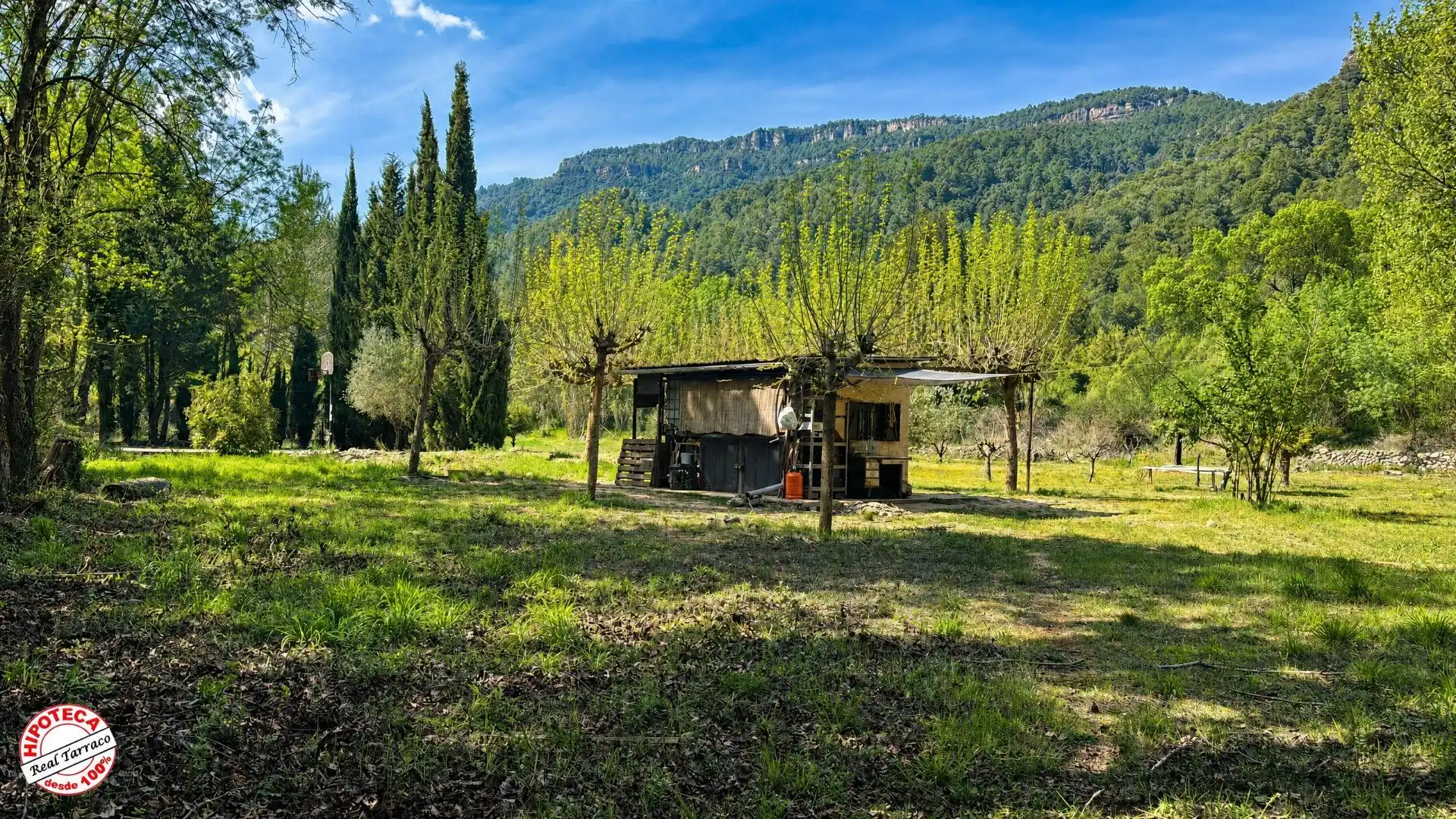 Terreno rústico en venta en Mont-ral