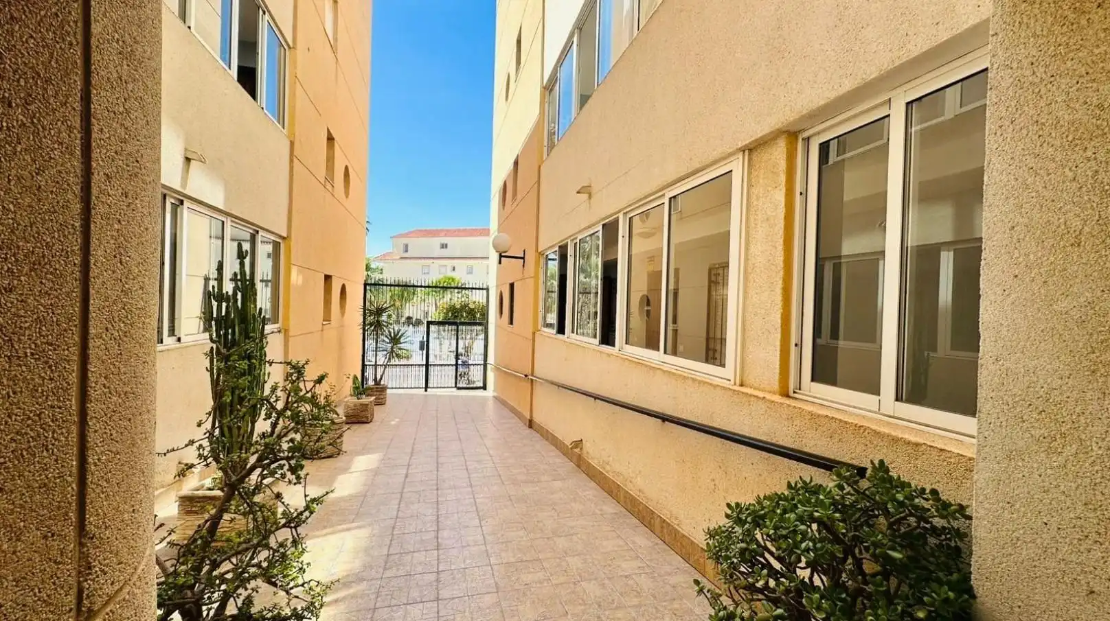 Vista exterior de Apartament en venda en Torrevieja amb Moblat i Piscina comunitària