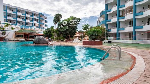 Foto 3 de Estudio en venta en Apartamentos Green Park, Golf del Sur - Amarilla Golf, San Miguel de Abona