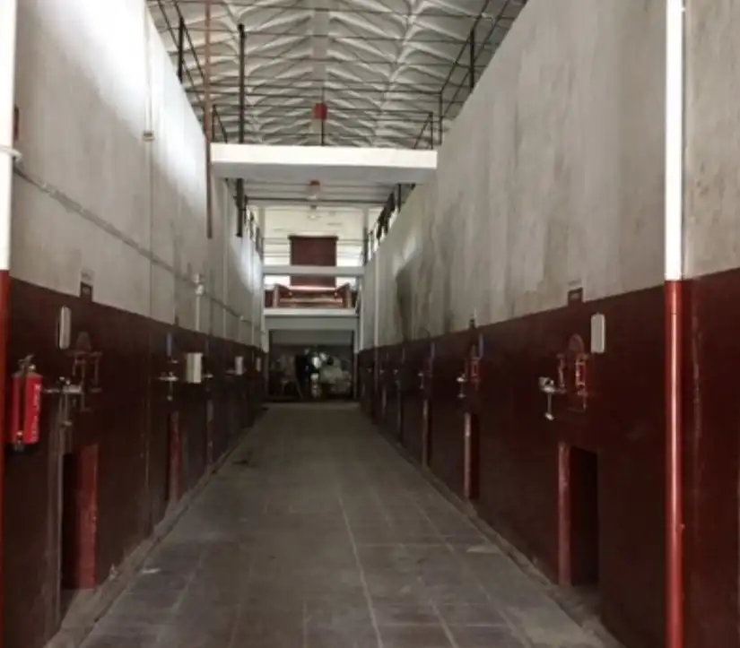 Industrial buildings for sale in Desojo