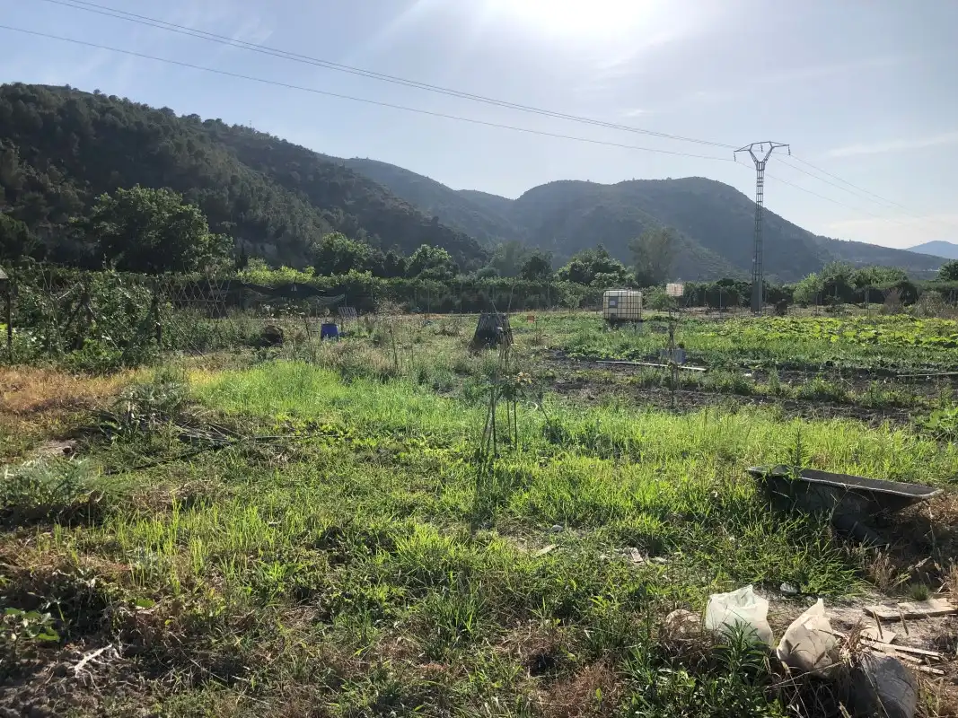 Terreno en venta en Gandia