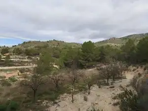 Terreno rustico in vendita a Carrer la Torreta, imagen 14