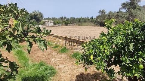 Foto 5 de Casa o xalet en venda a Playa Levante, Alicante