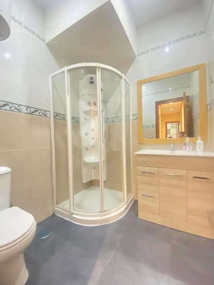 Bathroom of Flat for rent in Madrid  with Heating, Furnished and Internet