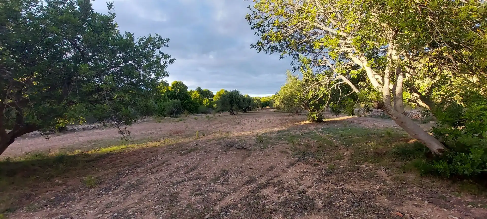 Rural land for sale in Miami Platja, imagen 13