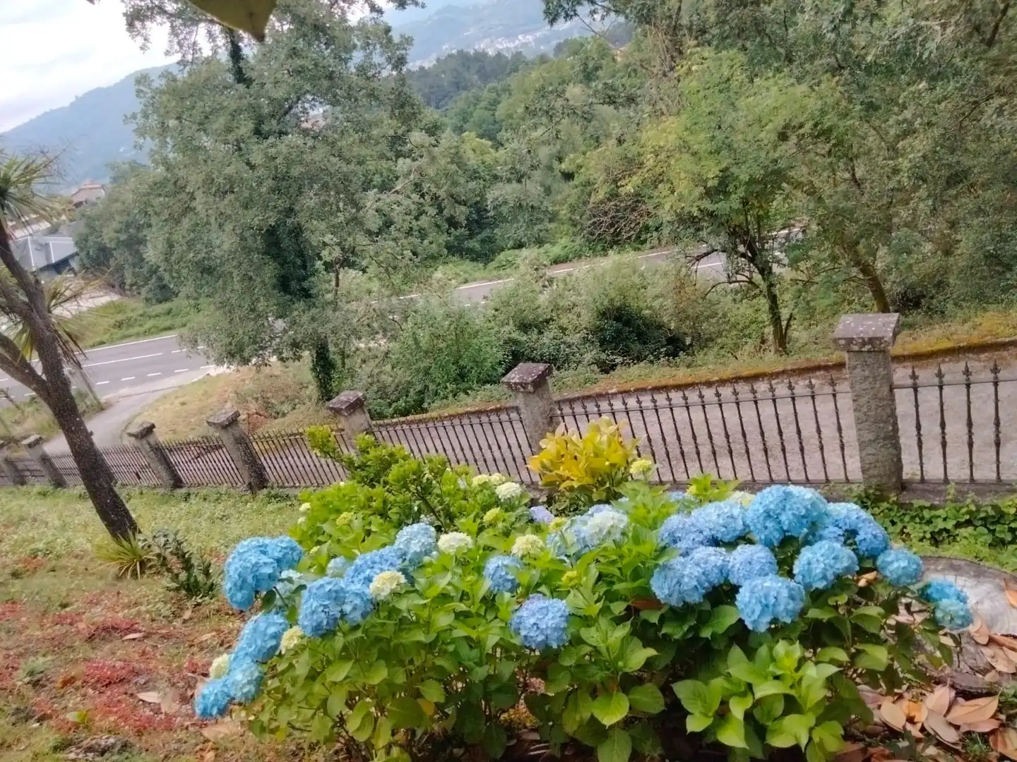 Jardín de Casa o chalet en venta en Coles con Calefacción, Jardín privado y Terraza