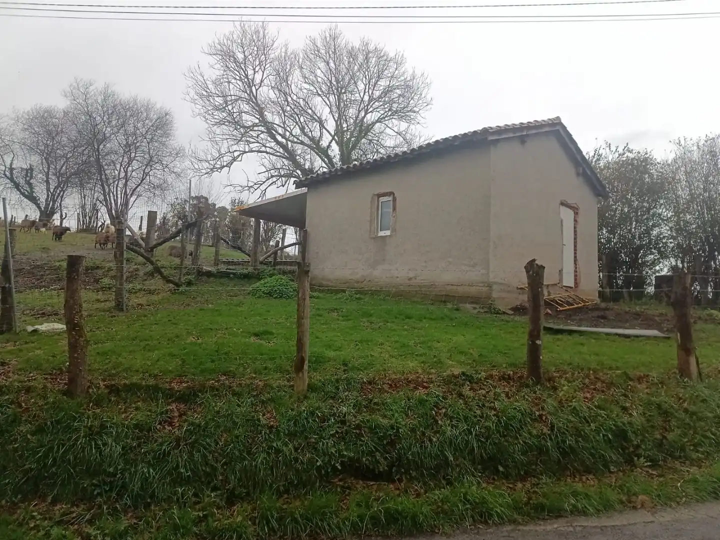 Exterior view of Land for sale in Nava