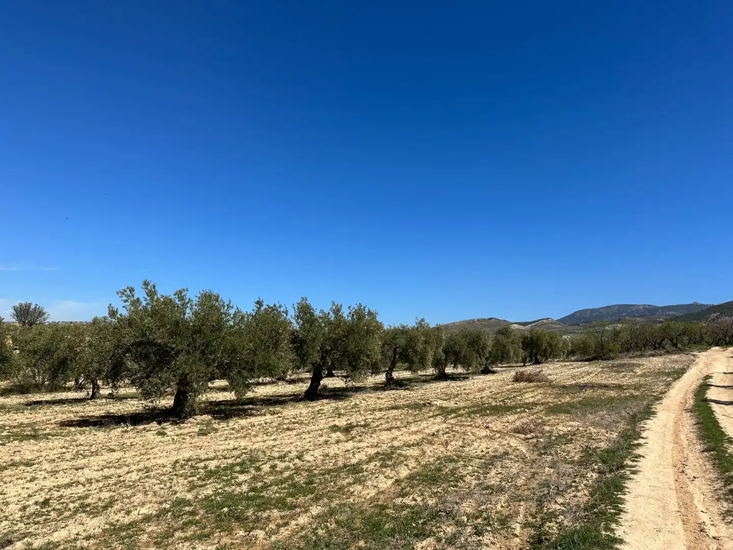 Terreny rústic en venda a Dílar, imagen 30