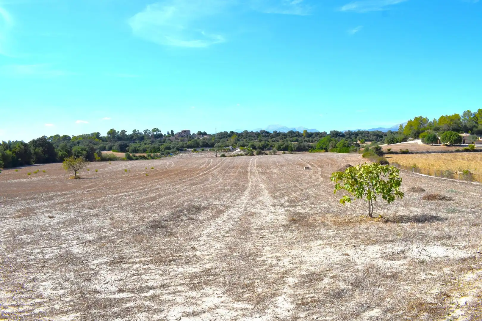 Terreny residencial en venda a Llubí, imagen 9