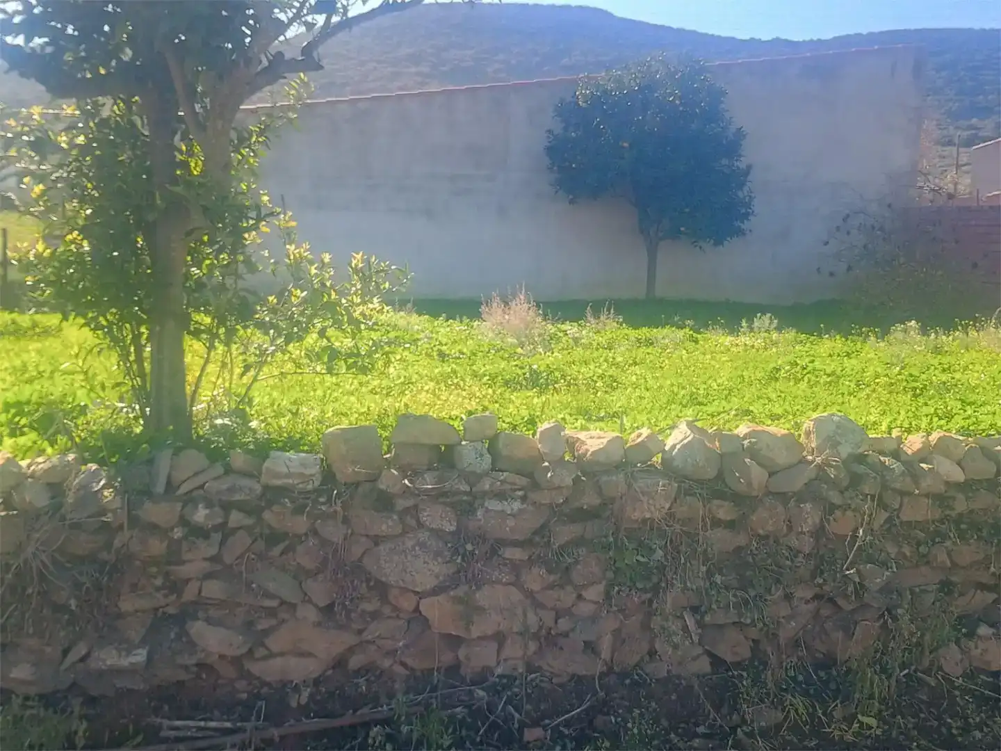 Country homes for sale in Siruela