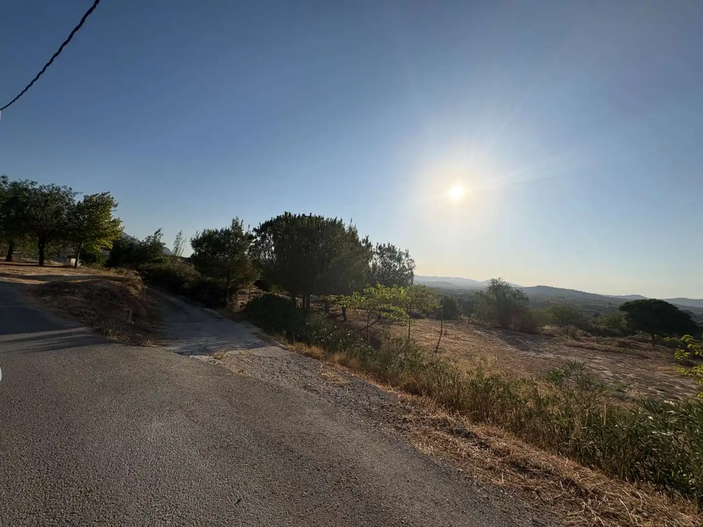 Terrenos y solares en venta en Pliego