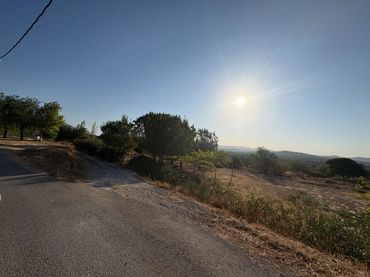 Terrenos y solares en venta en Pliego