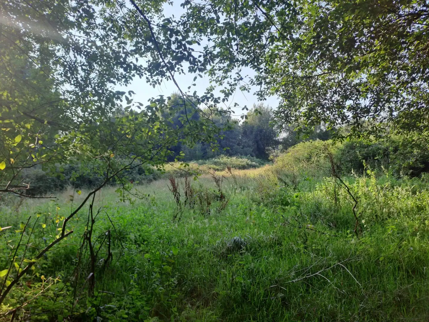 Terreni e lotti in vendita a polig 1 Sau Bd8 Pc M1b1, imagen 4
