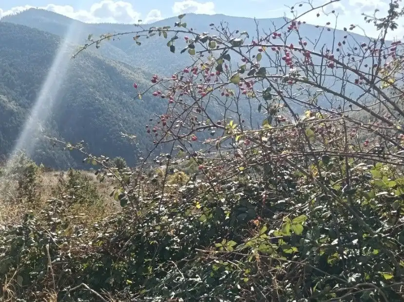 Terreni e lotti in vendita a Alta, imagen 18