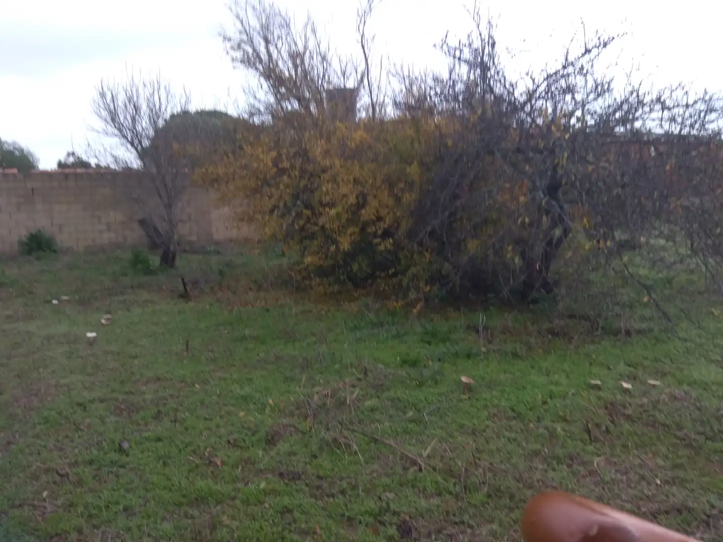 Casa amb jardí en venda a Carretera del Pago del Humo, imagen 9