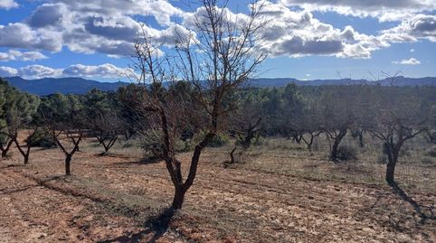 Foto 5 de Terreno en venta en N/a, -1, Lledó, Teruel