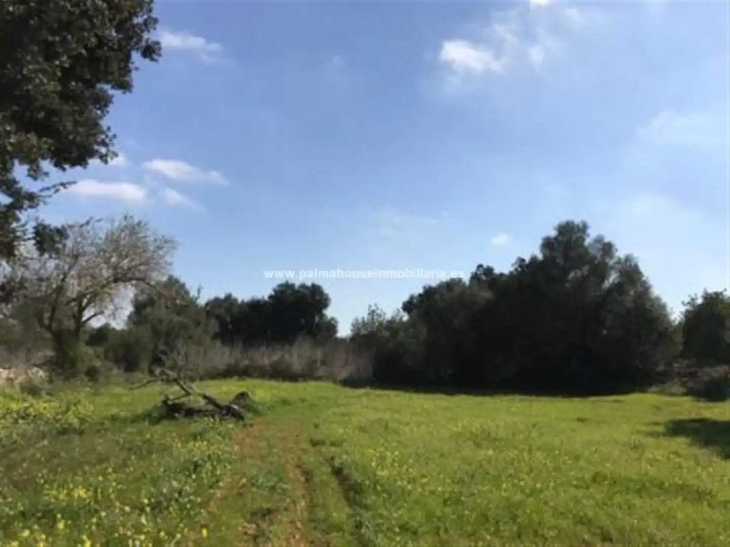Wohnbaugrundstück zum Verkauf in Llubí, imagen 12
