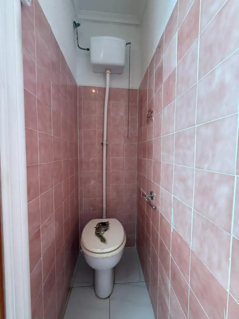 Vivienda en venta en Calle JOVELLANOS 49, imagen 16