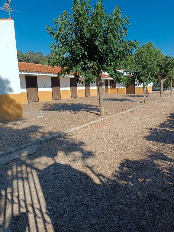 Vista exterior de Terreno en venta en Villarrobledo