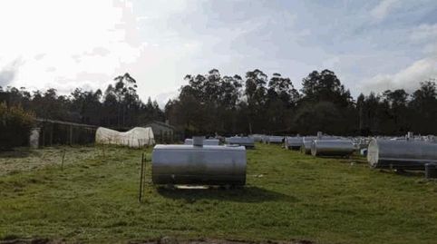 Suelo rústico de unos 6.467,00 m2 en venta en Rois A Coruña. Contacta con nosotros para obtener más información La operación de ve, immagine 2