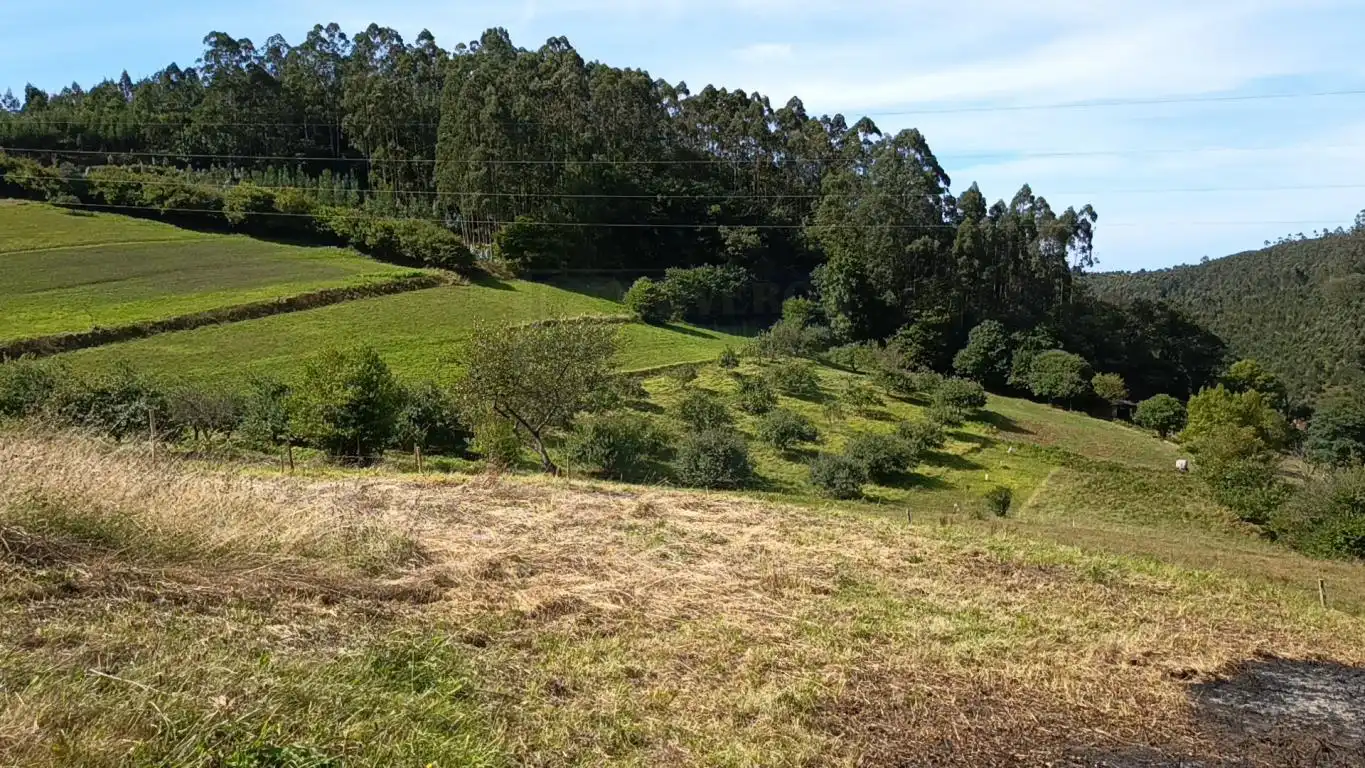 Grundstücke und Bauplätze zum Verkauf in Aldea Argañosa, imagen 4