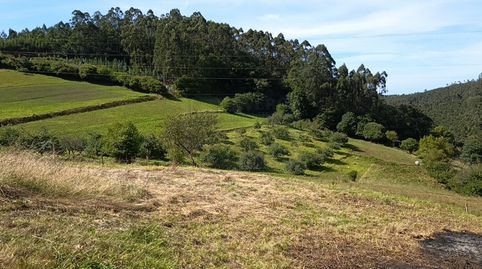 La Argañosa (Candamo) Asturias, finca edificable para dos casas, 25.000 €, imatge 4