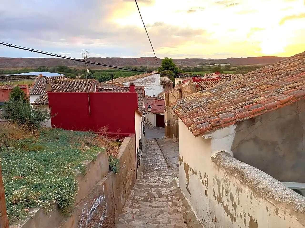 Exterior view of Houses for sale in Velilla de Ebro  with Terrace and Furnished