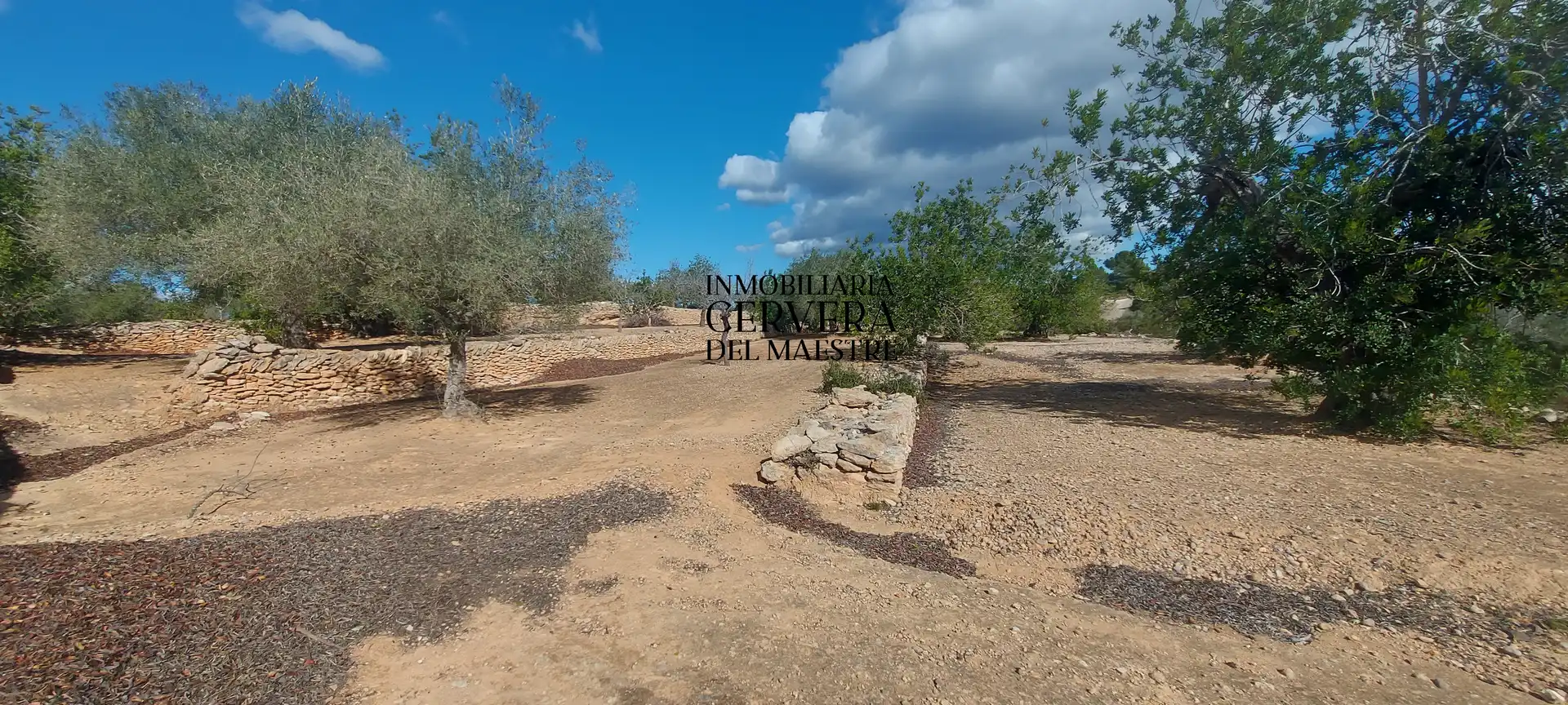 Terreno rustico in vendita a Partidas de interior - Zona Rústica, imagen 29