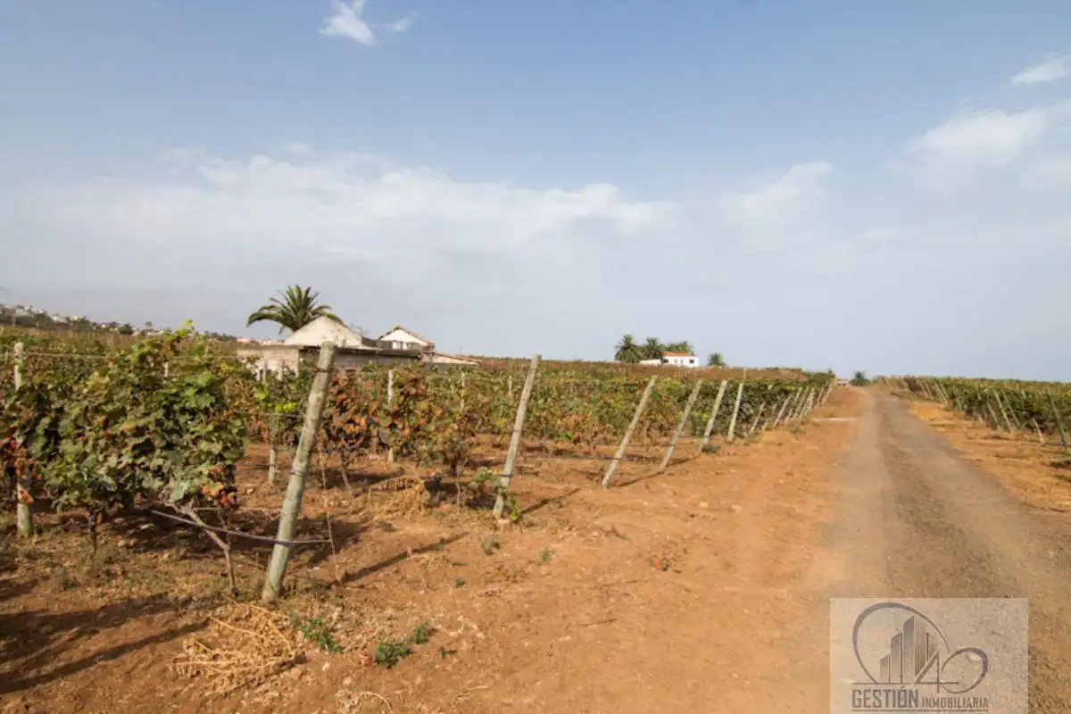 Finca rústica en venda en Santa Úrsula amb Terrassa i Balcó