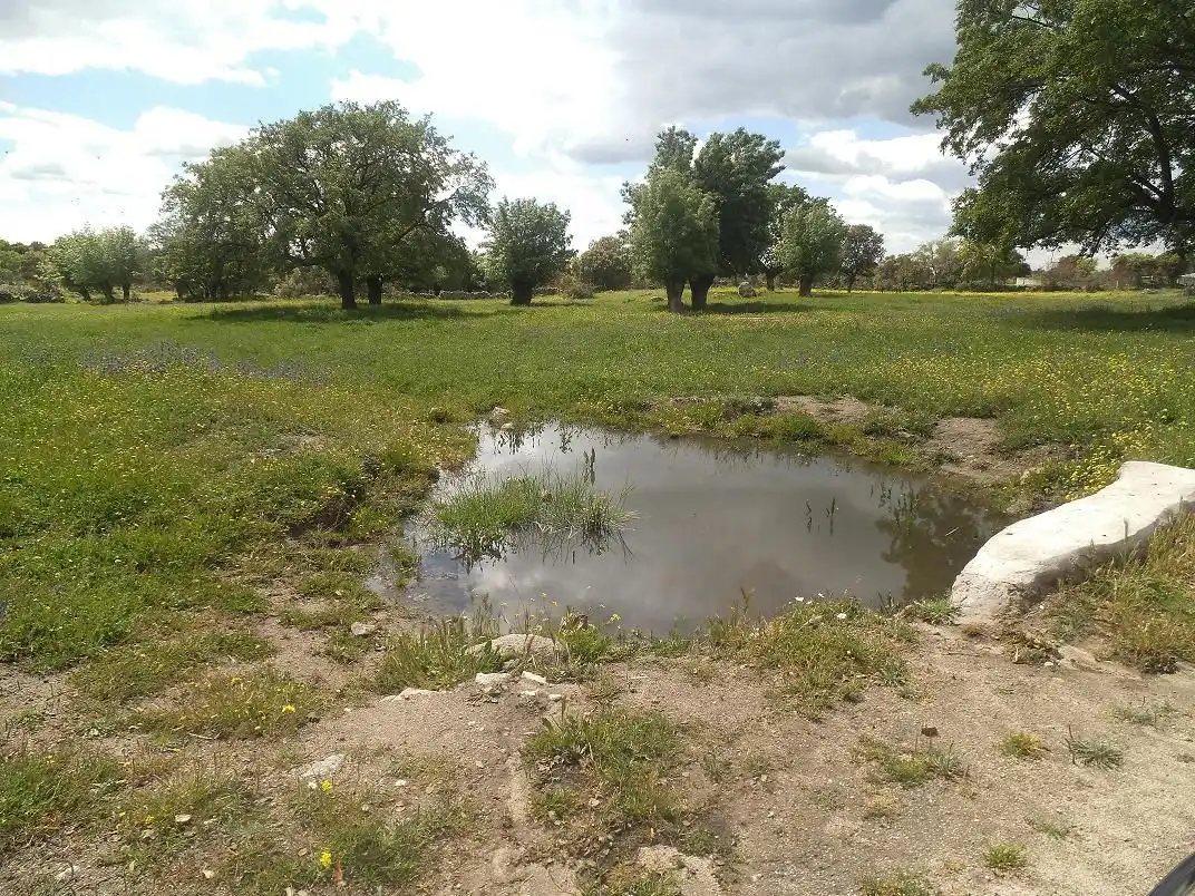 Residencial en venda en Valdemorillo