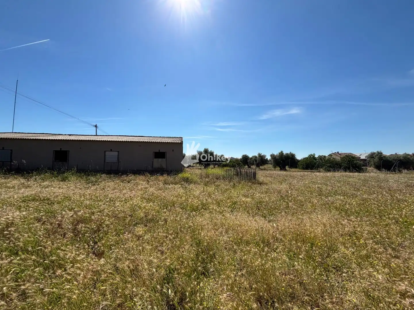 Terrain rustique à vendre à Cedillo del Condado, imagen 3